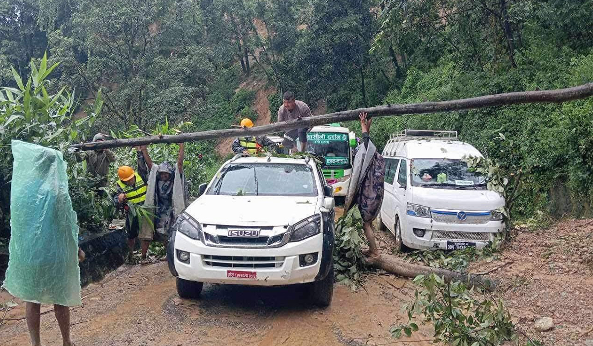 झ्याप्ले खोलामा पुरिएका सवारीसाधनबाट १४ शव निकालियो
